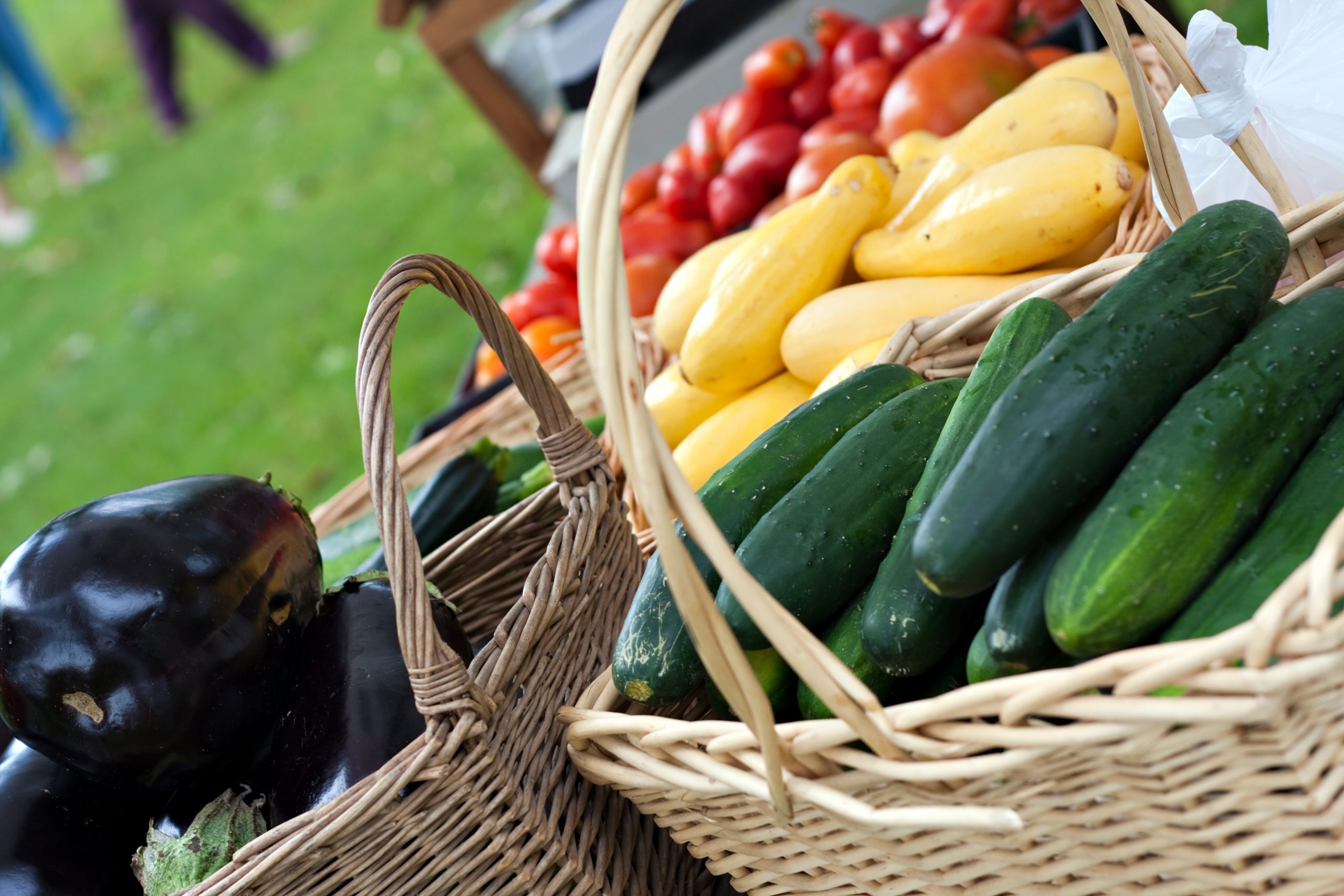 basket of assorted vegetables